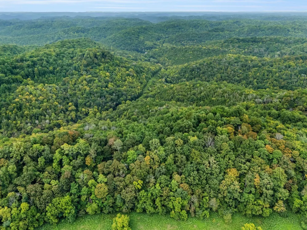 0 Poplar Flatt Rd Silver Point, TN 38582