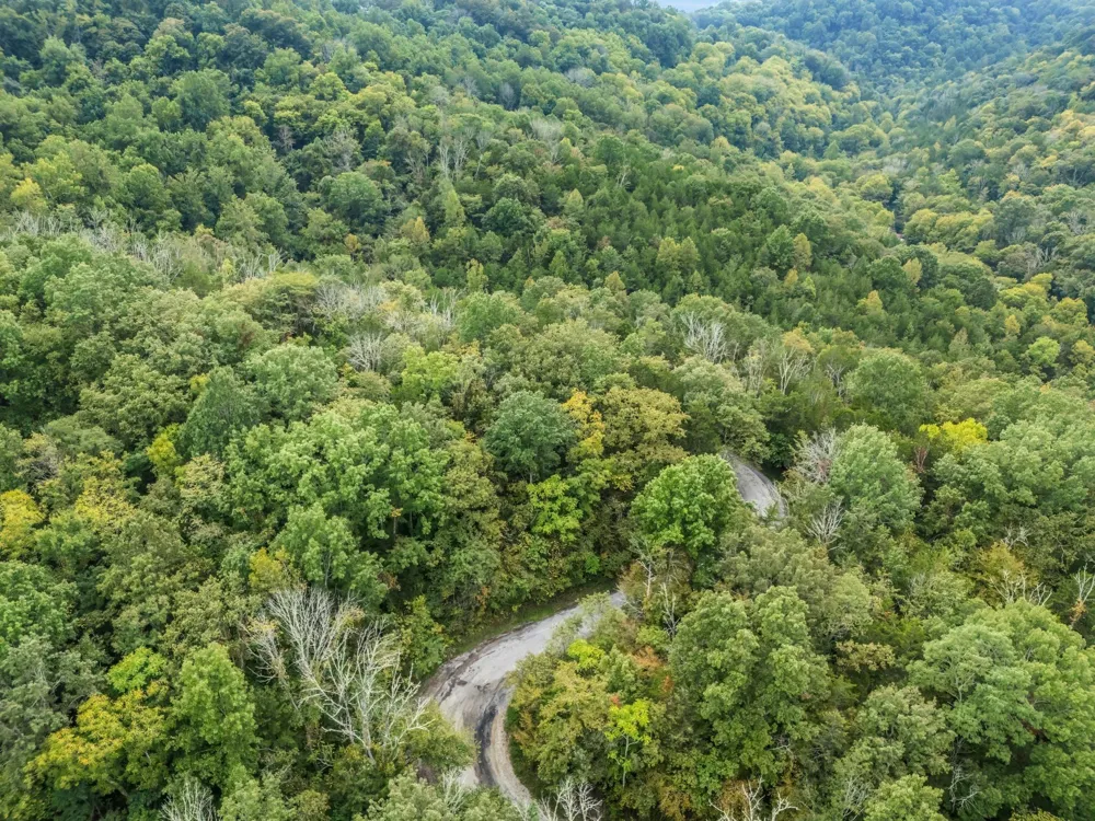 0 Poplar Flatt Rd Silver Point, TN 38582