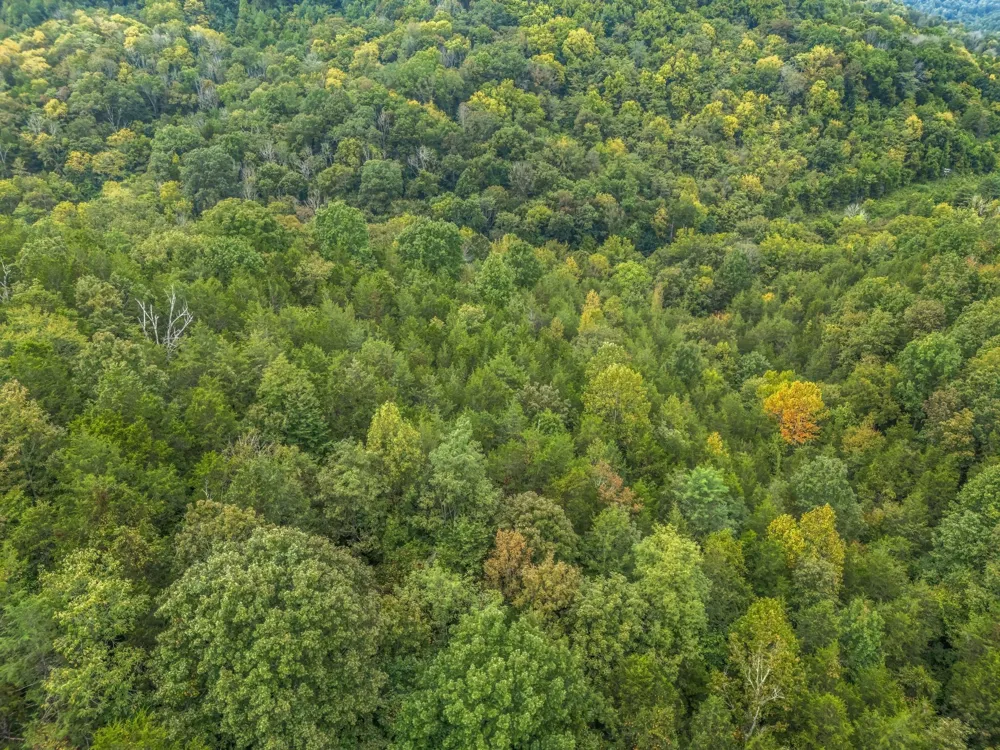 0 Poplar Flatt Rd Silver Point, TN 38582