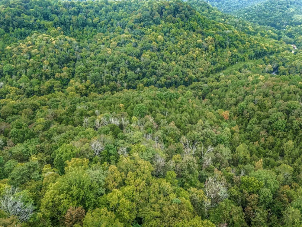 0 Poplar Flatt Rd Silver Point, TN 38582
