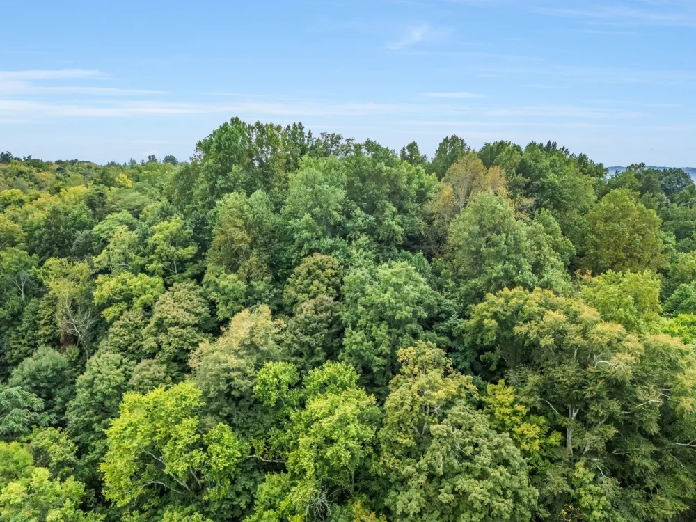 0 Poplar Flatt Rd Silver Point, TN 38582