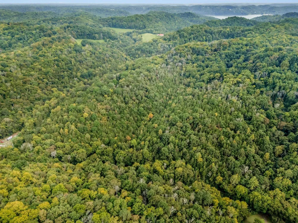 0 Poplar Flatt Rd Silver Point, TN 38582