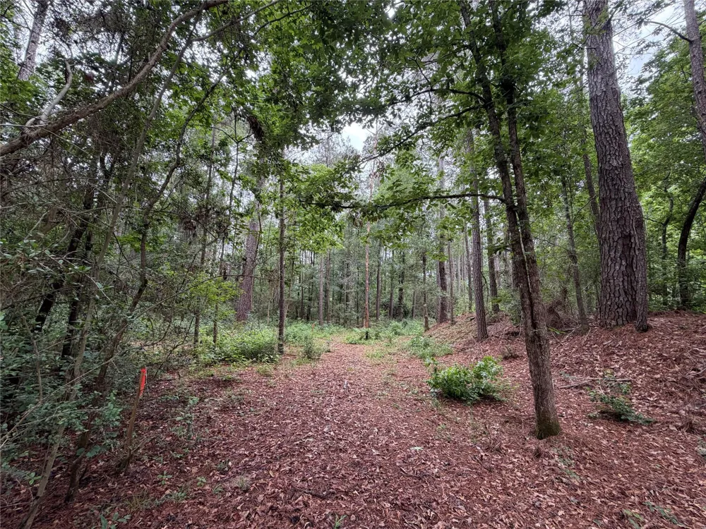 Hill Road Lot 3 Willis, TX 77378