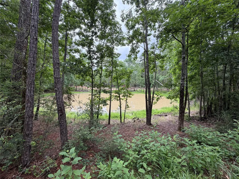Hill Road Lot 3 Willis, TX 77378