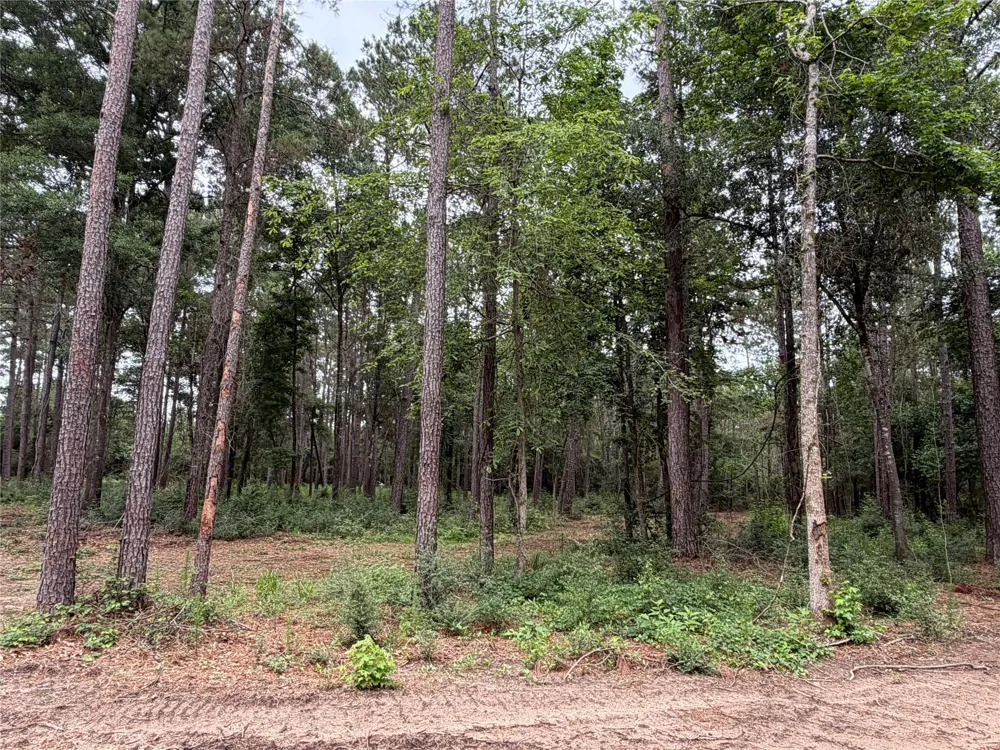 Hill Road Lot 3 Willis, TX 77378