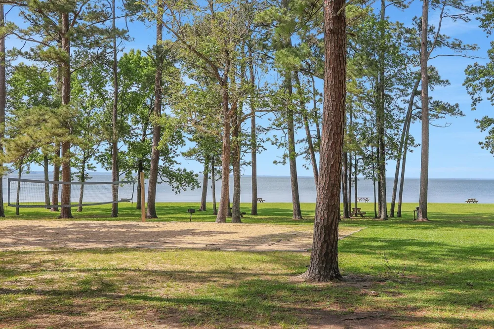 270 Lake Grove Drive Coldspring, TX 77331
