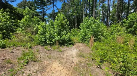 6099 Old Alabama Road SW
