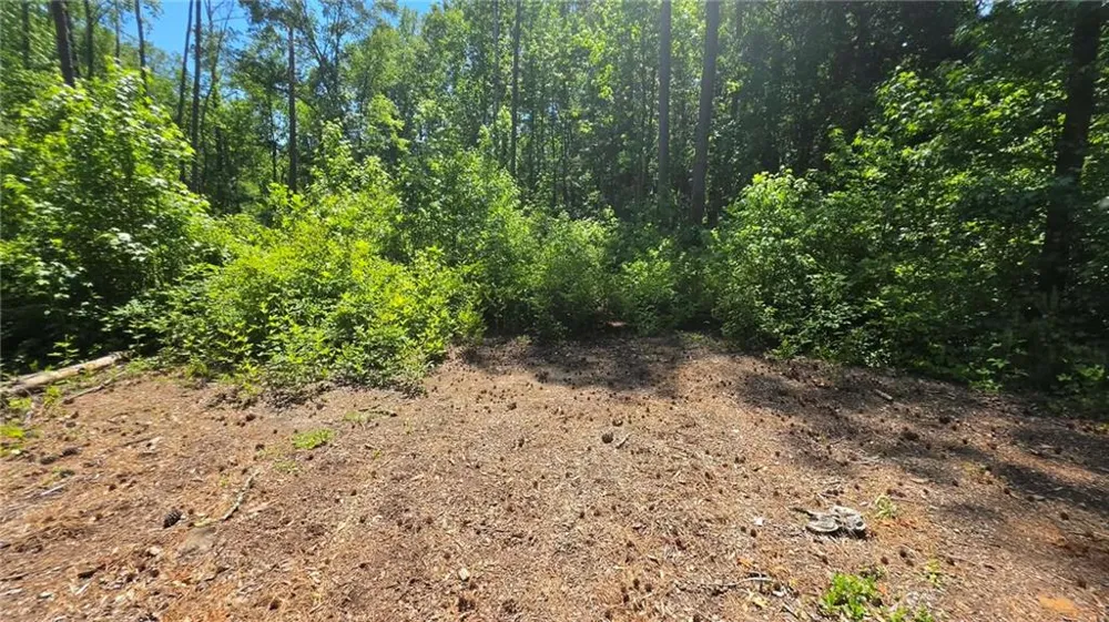 6099 Old Alabama Road SW Austell, GA 30168