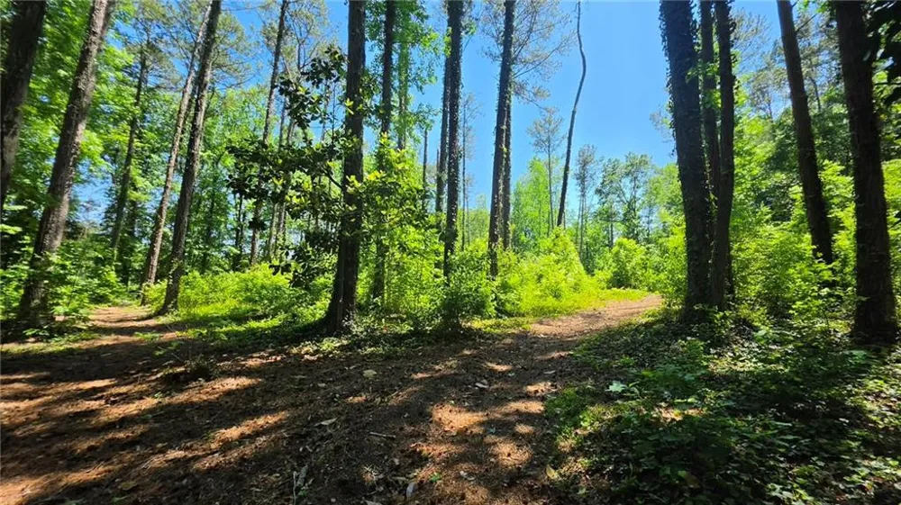 6099 Old Alabama Road SW Austell, GA 30168