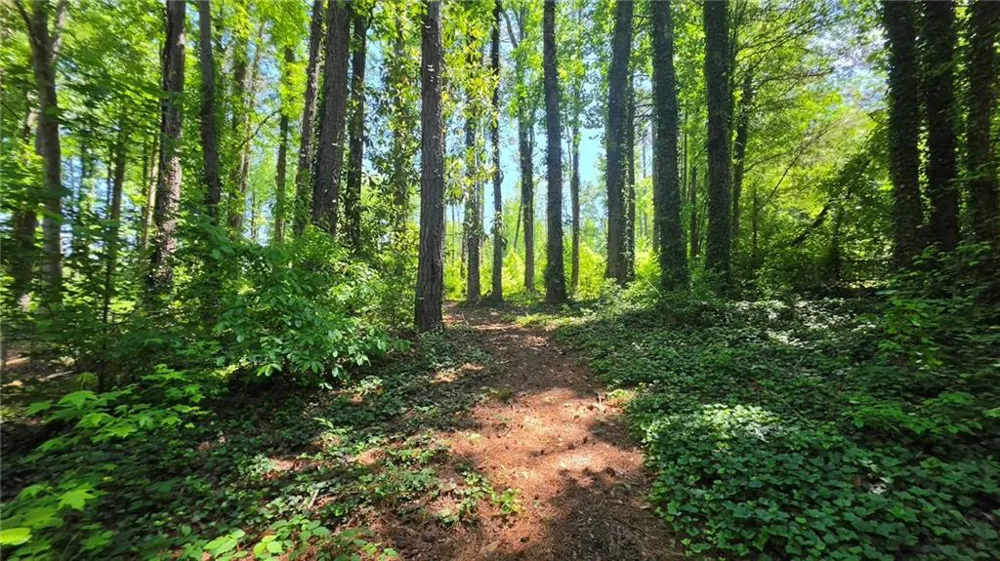 6099 Old Alabama Road SW Austell, GA 30168