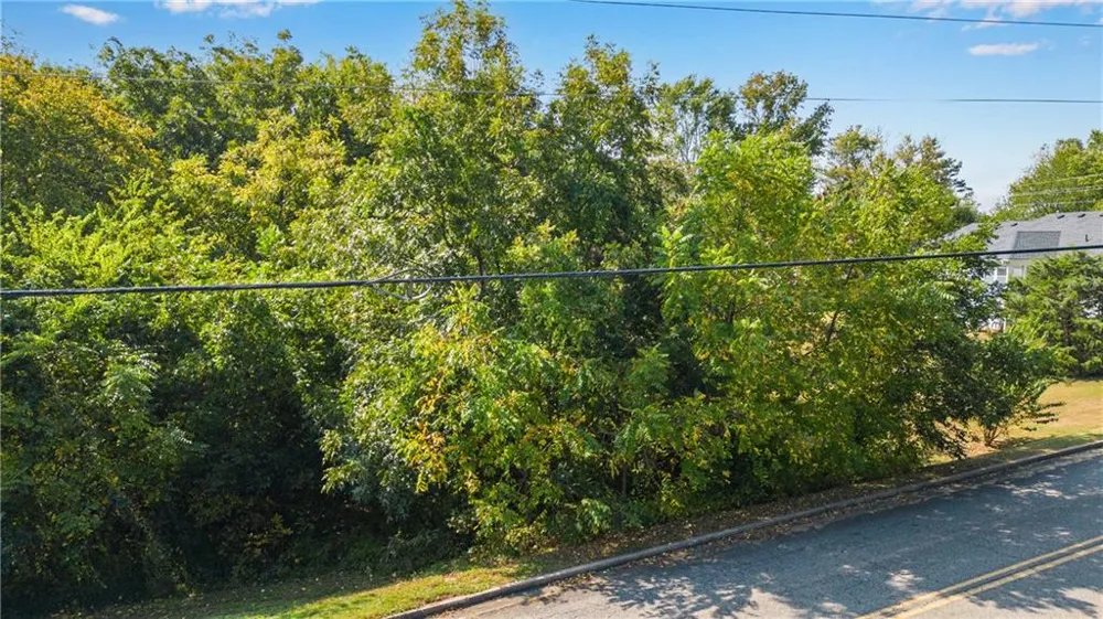 0 Reavis Street Ball Ground, GA 30107