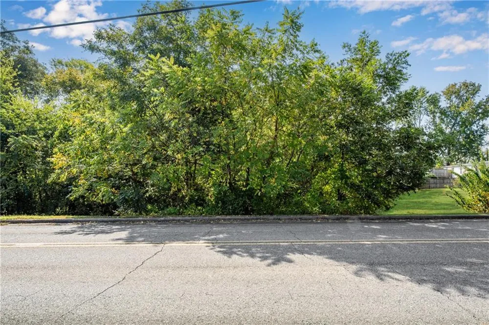 0 Reavis Street Ball Ground, GA 30107