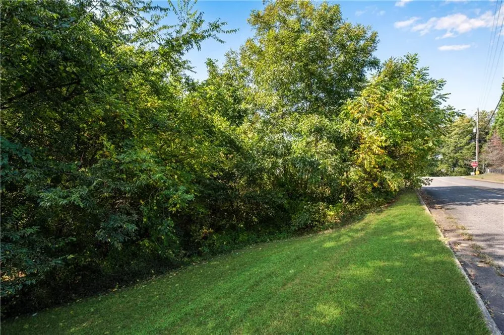 0 Reavis Street Ball Ground, GA 30107