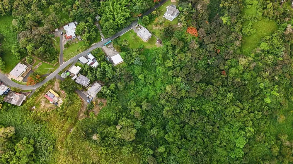 BO VALENCIANO ARRIBA CARR 919 KM 4.0 Juncos, PR 00777