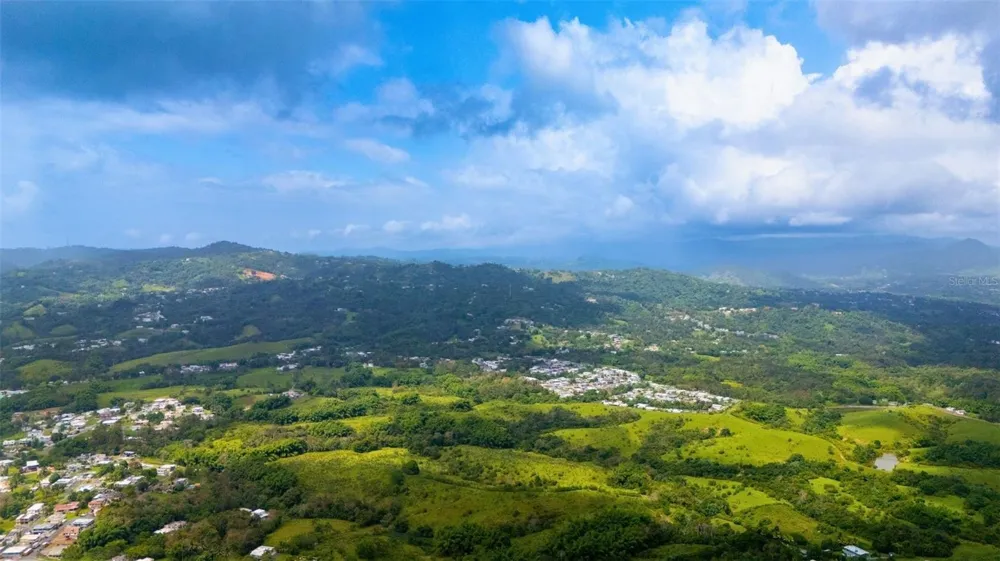 BO VALENCIANO ARRIBA CARR 919 KM 4.0 Juncos, PR 00777