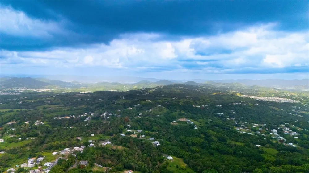 BO VALENCIANO ARRIBA CARR 919 KM 4.0 Juncos, PR 00777