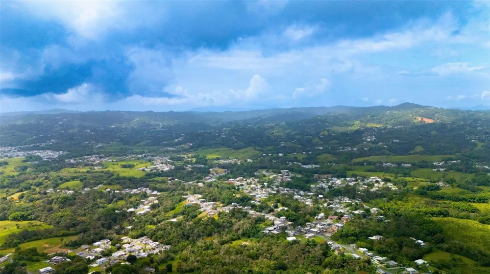 BO VALENCIANO ARRIBA CARR 919 KM 4.0 Juncos, PR 00777