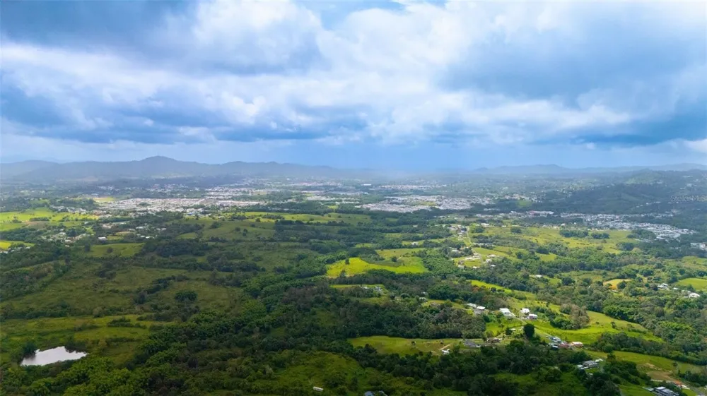 BO VALENCIANO ARRIBA CARR 919 KM 4.0 Juncos, PR 00777