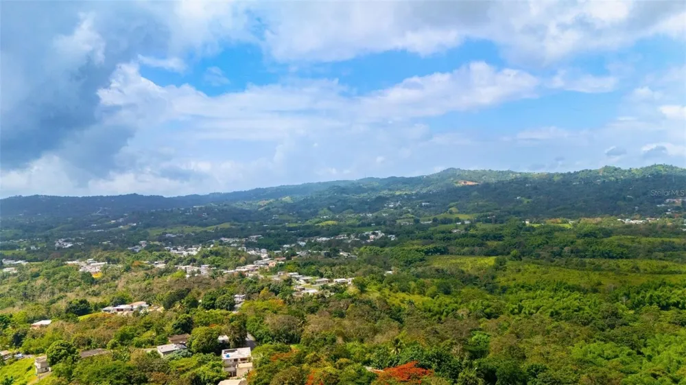 BO VALENCIANO ARRIBA CARR 919 KM 4.0 Juncos, PR 00777