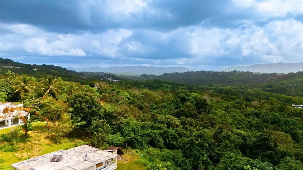 BO VALENCIANO ARRIBA CARR 919 KM 4.0 Juncos, PR 00777
