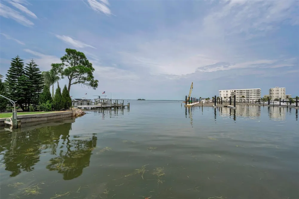433 S PAULA DRIVE #32 Dunedin, FL 34698