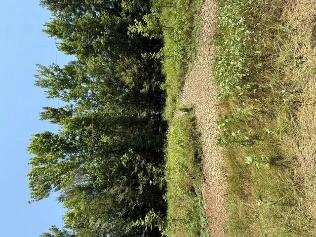 Sunshine Acres Midway, TX 75852