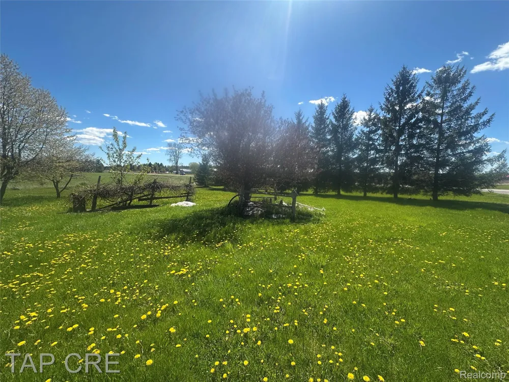 2273 S M 65 Highway Burleigh Township, MI 48770