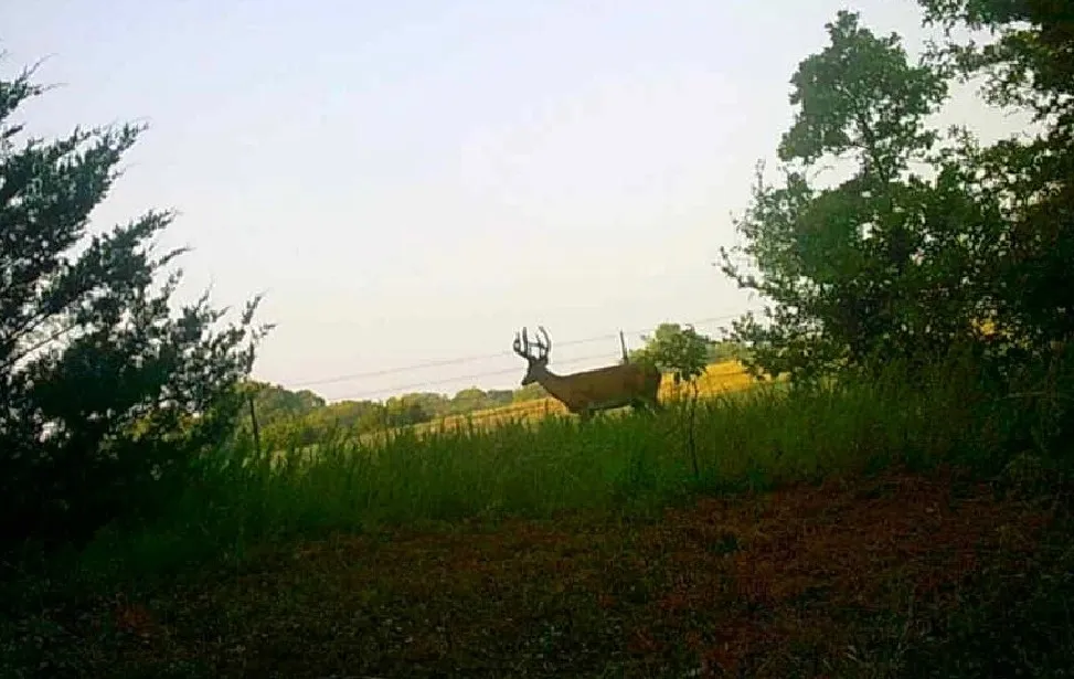 E County Road 1610 Stratford, OK 74872