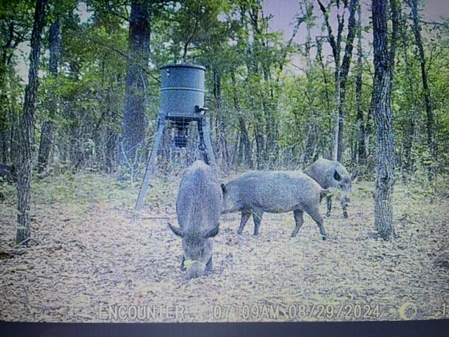 E County Road 1610 Stratford, OK 74872