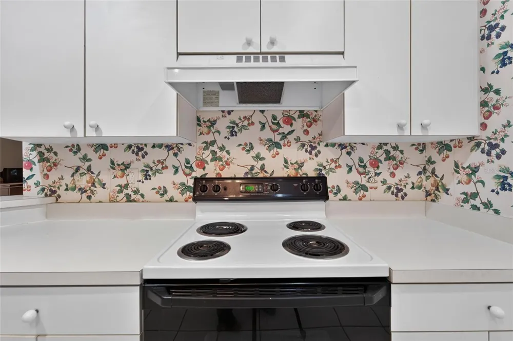 1023 MCDANIEL STREET #139 Sun City Center, FL 33573