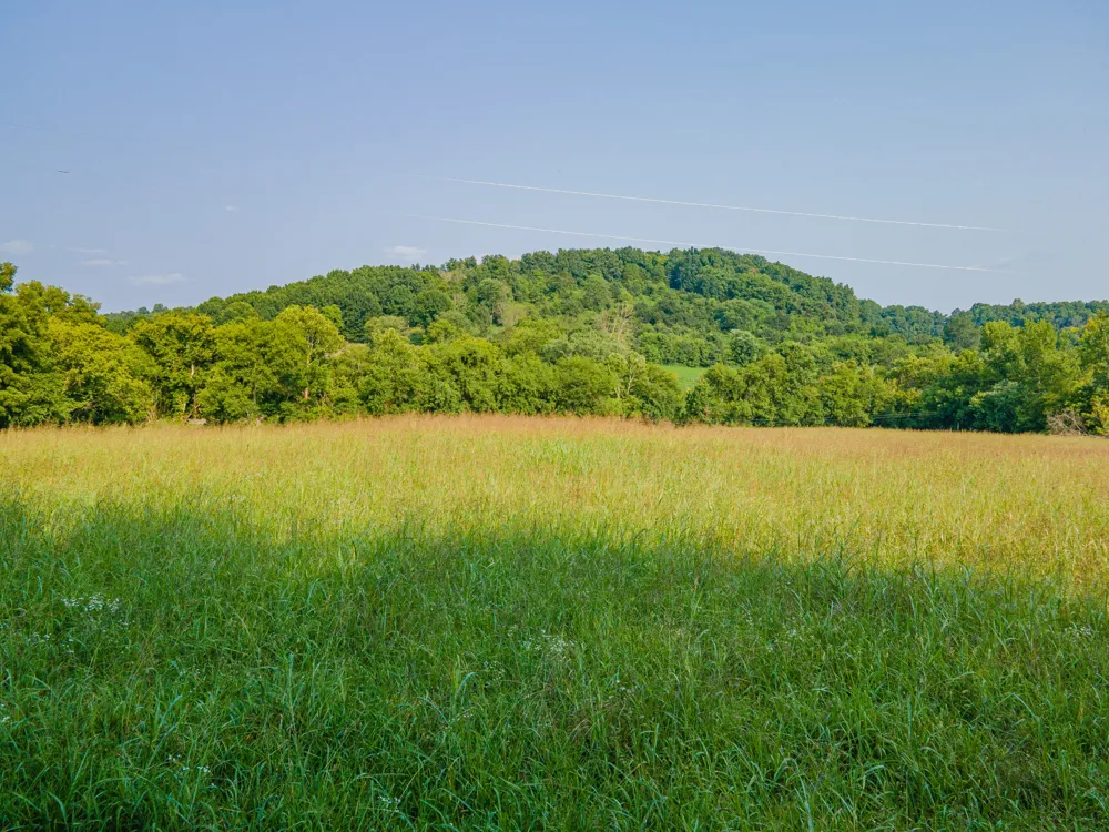 3247 Springplace Rd Lewisburg, TN 37091