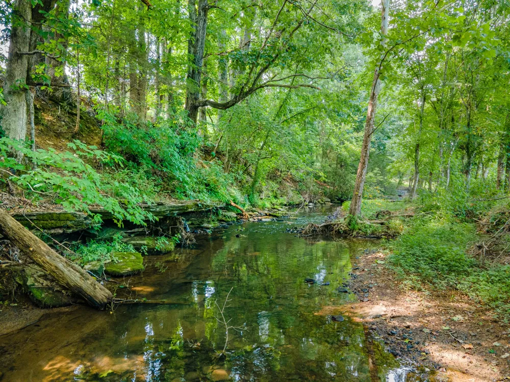 3247 Springplace Rd Lewisburg, TN 37091