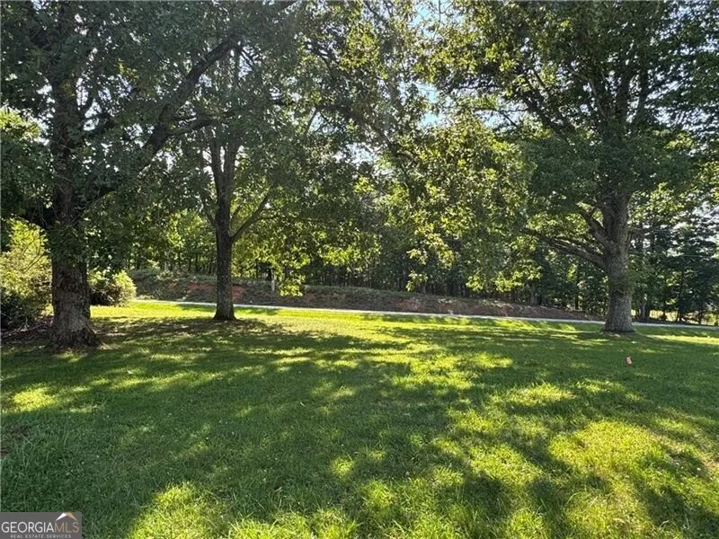 1049 Ben Higgins RD Dahlonega, GA 30533