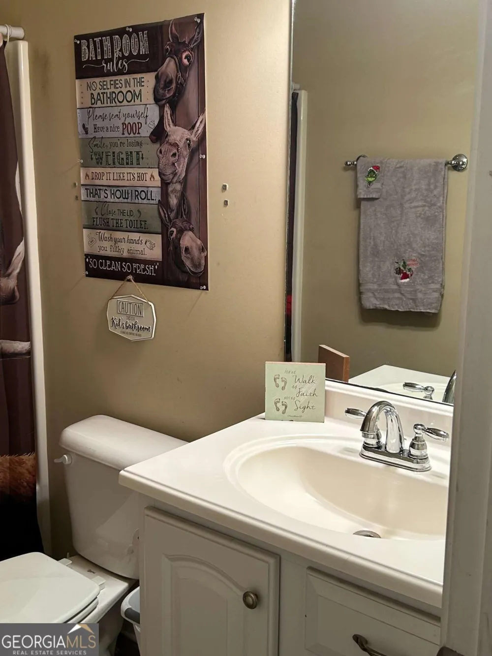 1330 Heads Ferry RD Cornelia, GA 30531