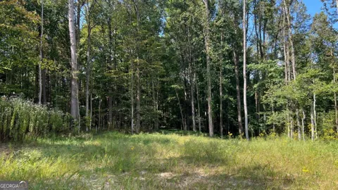 512 Level Creek RD