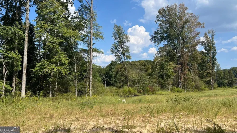 512 Level Creek RD Sugar Hill, GA 30518