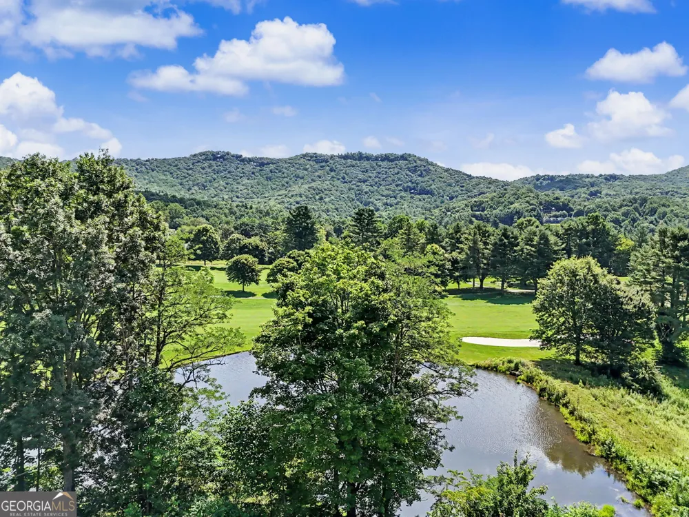 48 Little Bear TRL Sky Valley, GA 30537