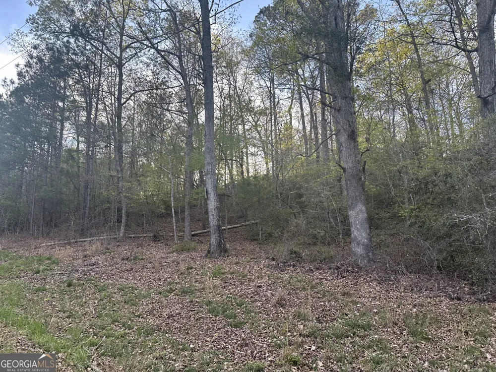 1141 Skipstone DR Watkinsville, GA 30677