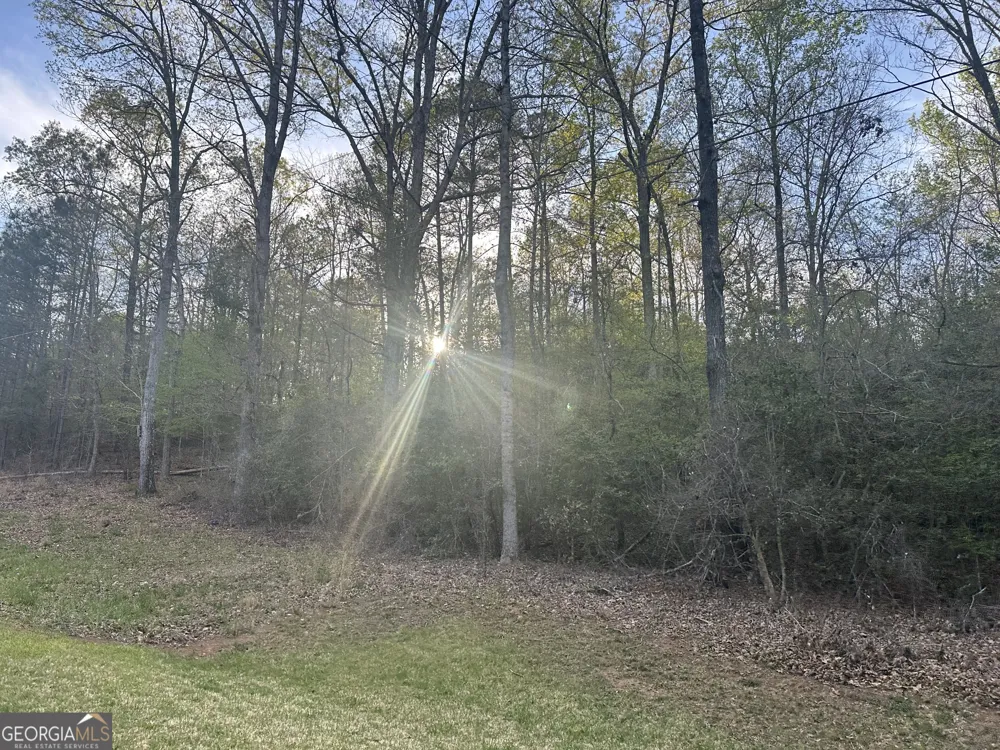 1141 Skipstone DR Watkinsville, GA 30677