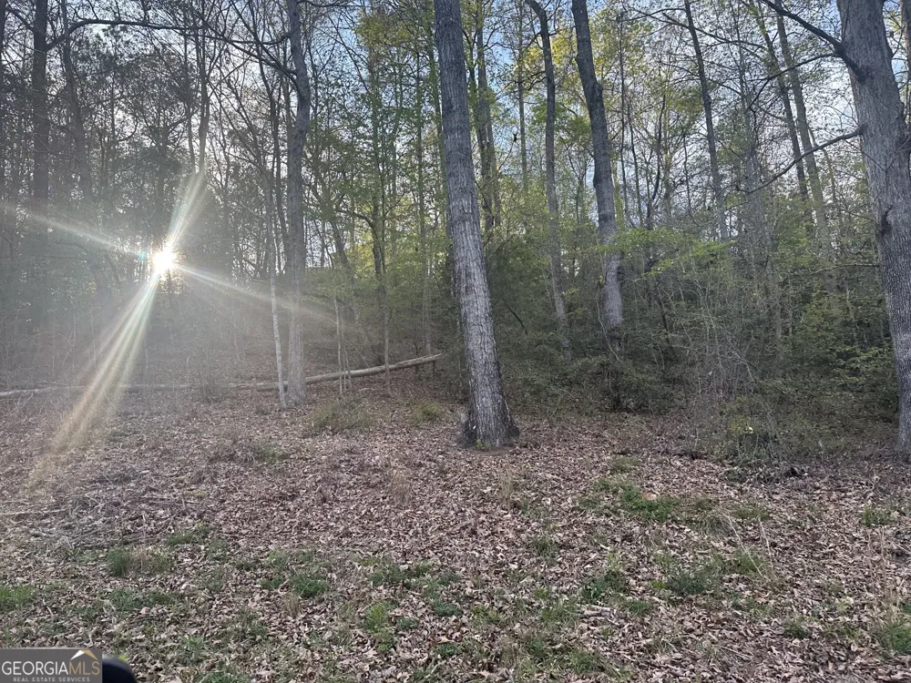 1141 Skipstone DR Watkinsville, GA 30677