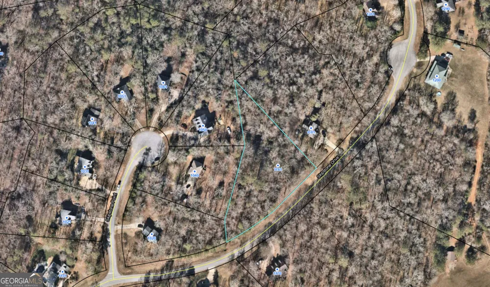 1141 Skipstone DR Watkinsville, GA 30677