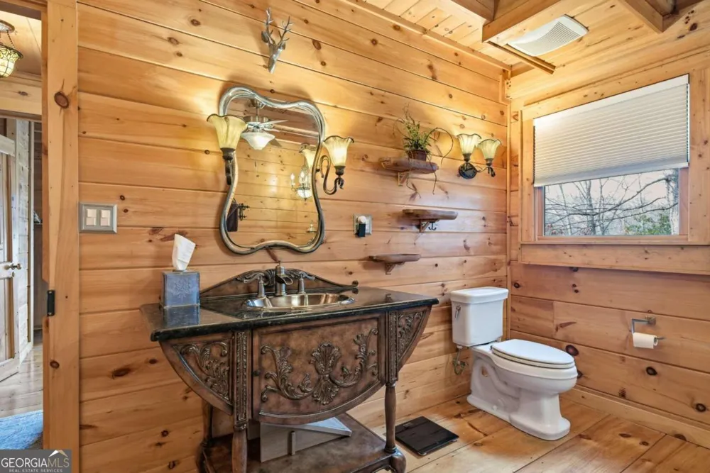 246 Adams CIR Mineral Bluff, GA 30559