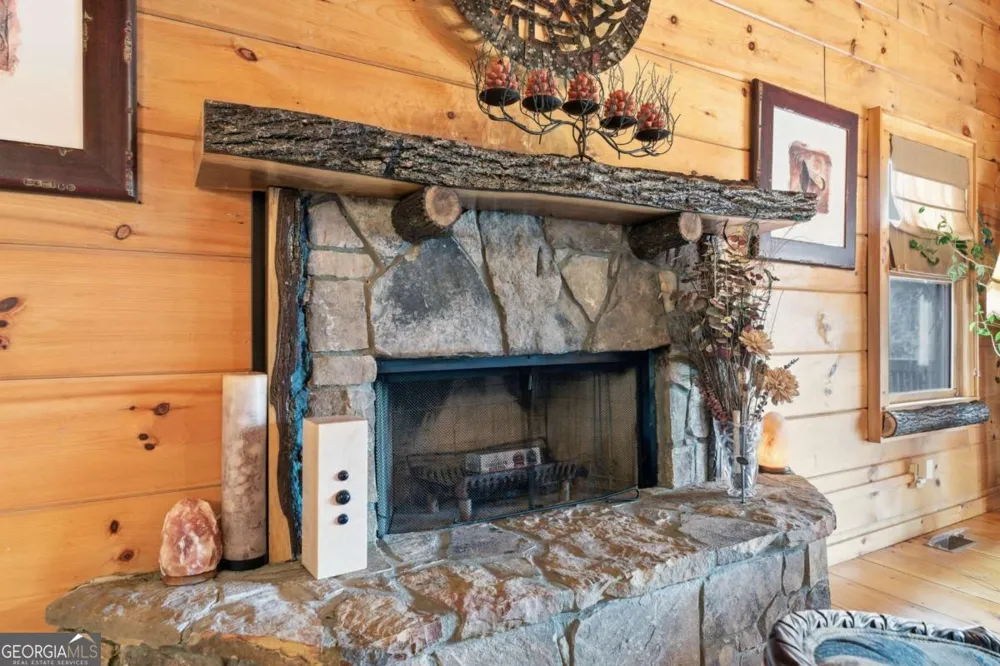 246 Adams CIR Mineral Bluff, GA 30559