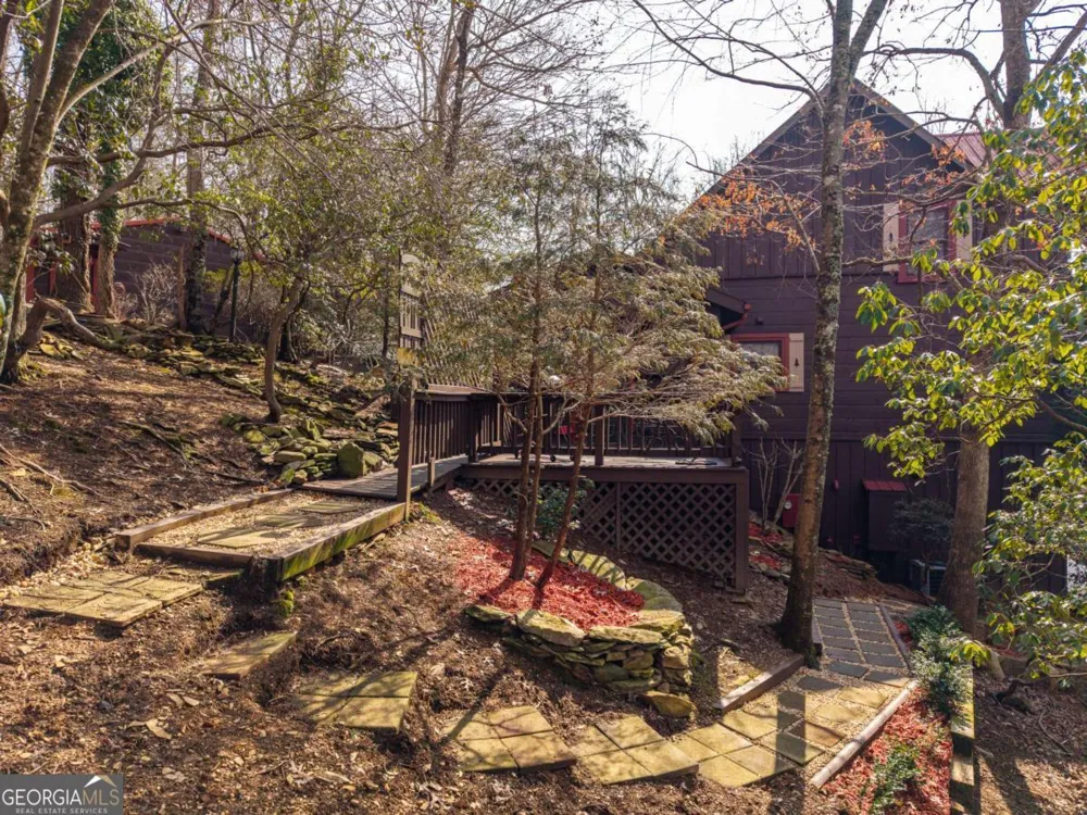 246 Adams CIR Mineral Bluff, GA 30559