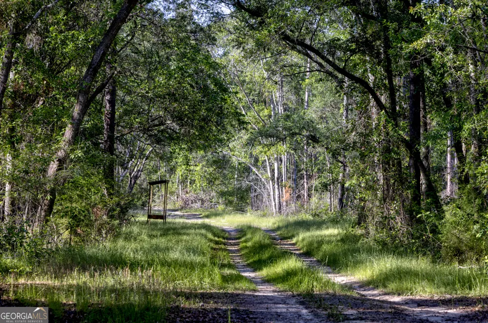 0 Robinson RD Baconton, GA 31716