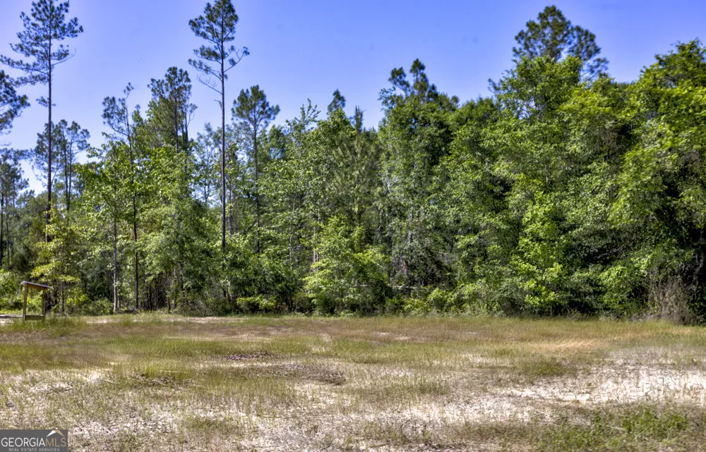 0 Robinson RD Baconton, GA 31716