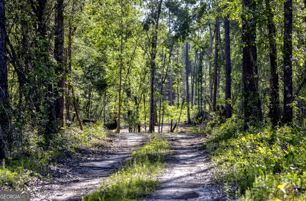 0 Robinson RD Baconton, GA 31716