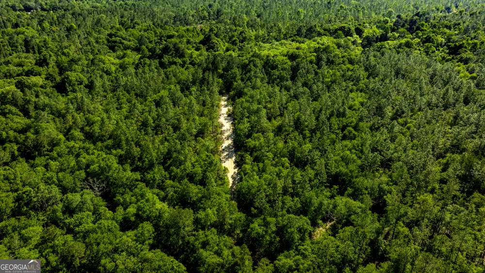 0 Robinson RD Baconton, GA 31716