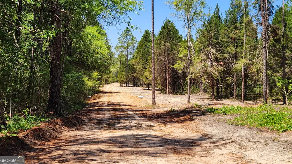 0 Robinson RD Baconton, GA 31716