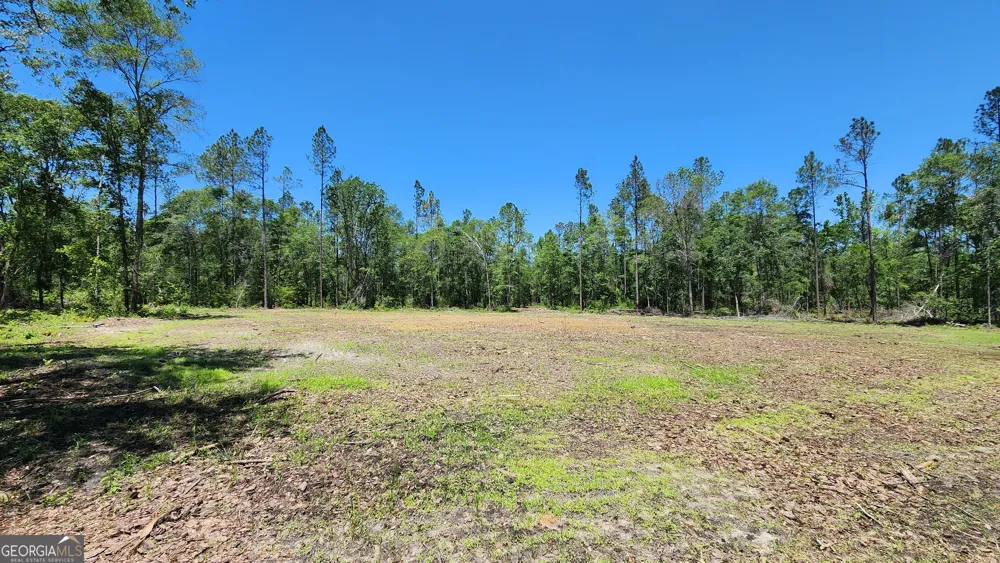 0 Robinson RD Baconton, GA 31716